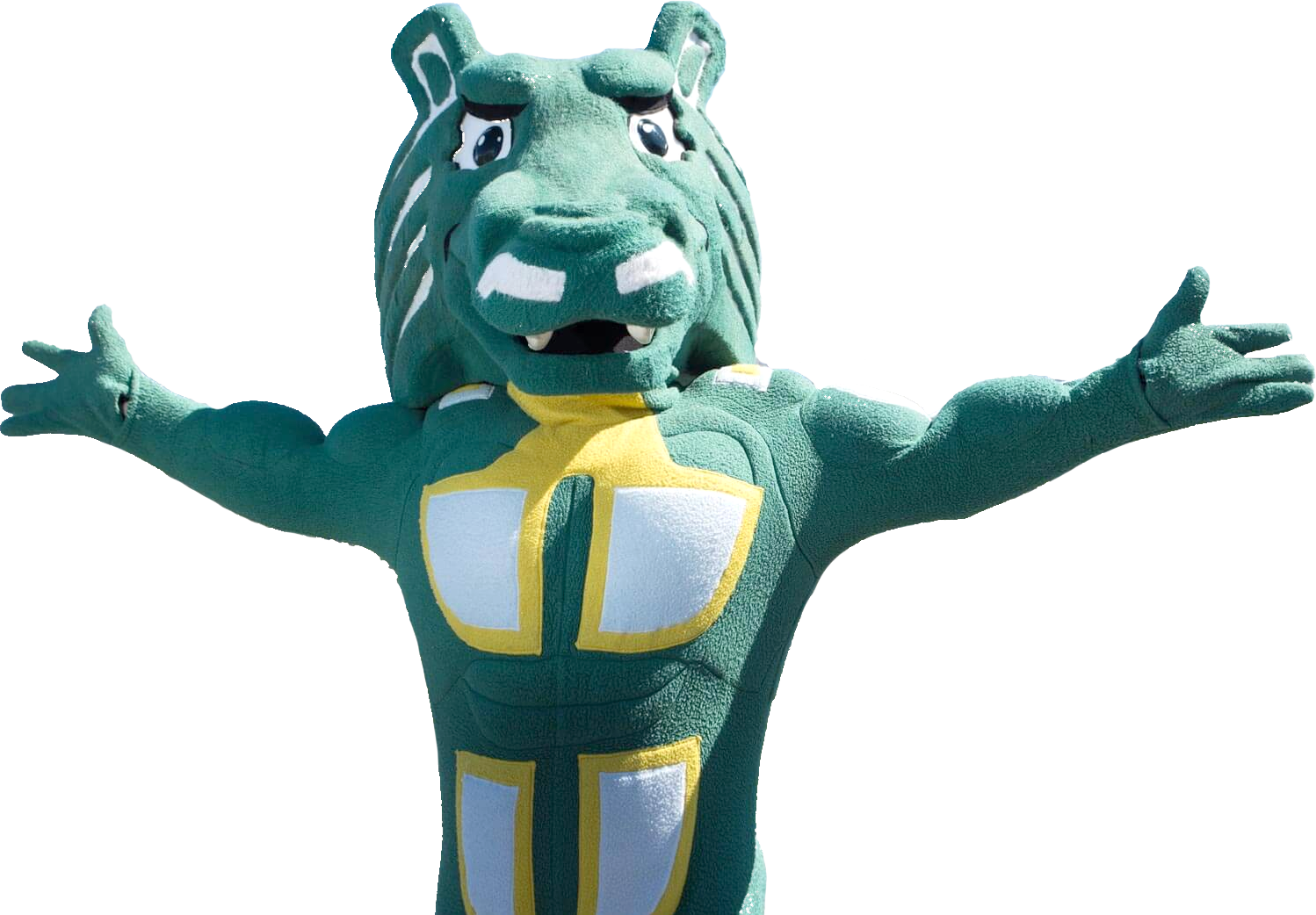 Spirit the Seawolf, UAA mascot